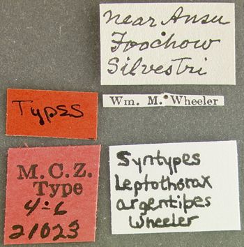 Media type: image; Entomology 21023   Aspect: labels
